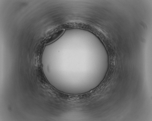 X0000112980965200909171335