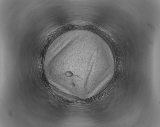 X0000112980966200909171335