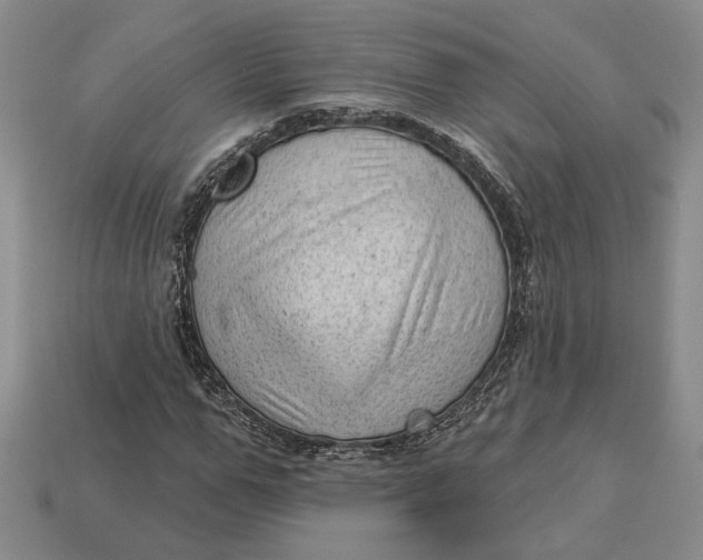 X0000112980967200909171335