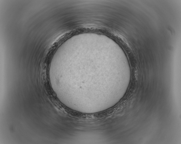 X0000112980968200909171335