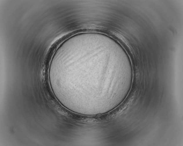 X0000112980971200909171335