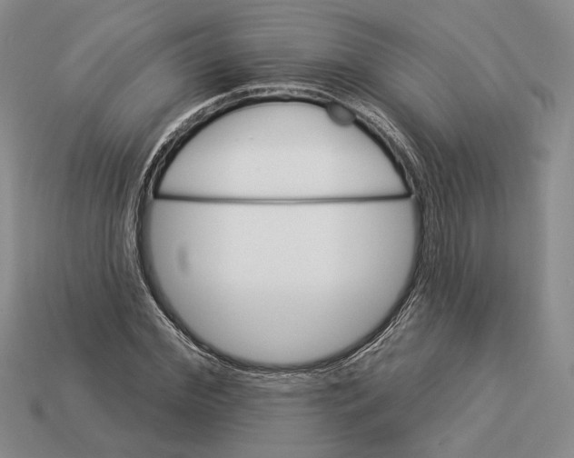 X0000112980972200909171335