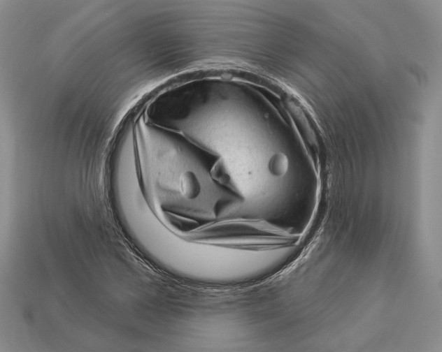 X0000112980973200909171335