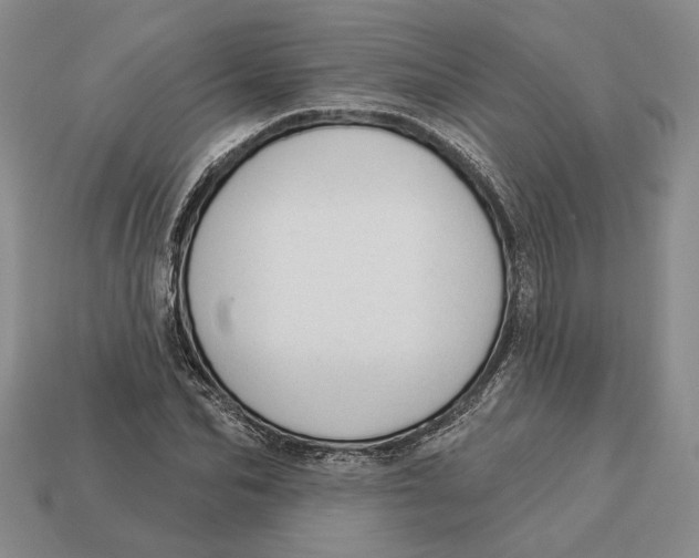 X0000112980974200909171335