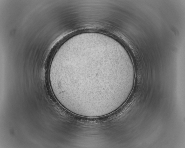 X0000112980975200909171335