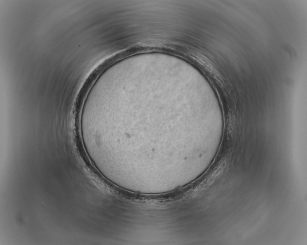 X0000112980976200909171335