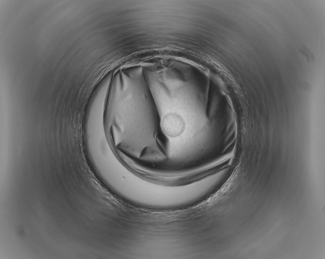 X0000112980977200909171335