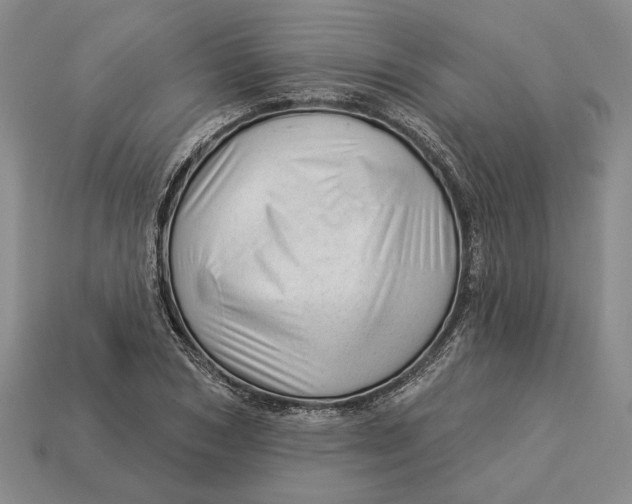 X0000112980978200909171335