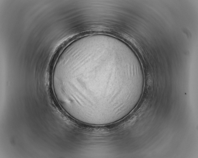 X0000112980979200909171335