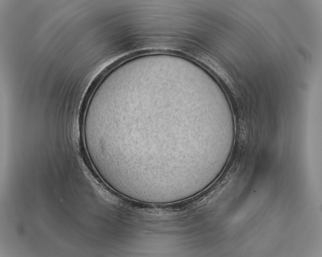 X0000112980980200909171335