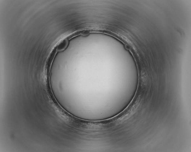 X0000112980981200909171335