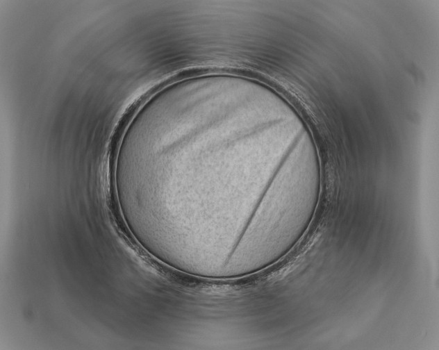 X0000112980982200909171335