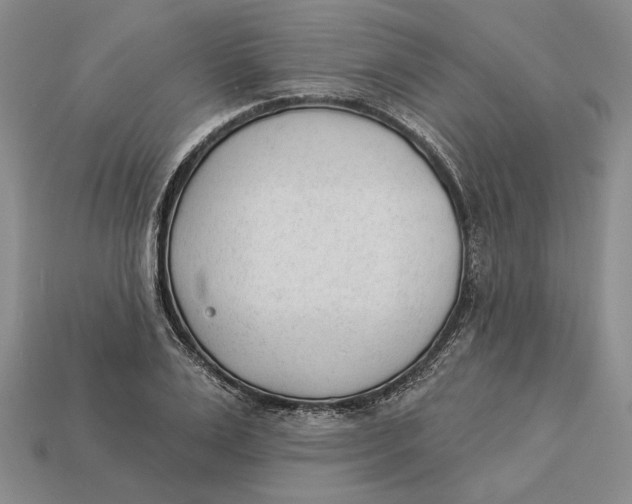 X0000112980983200909171335