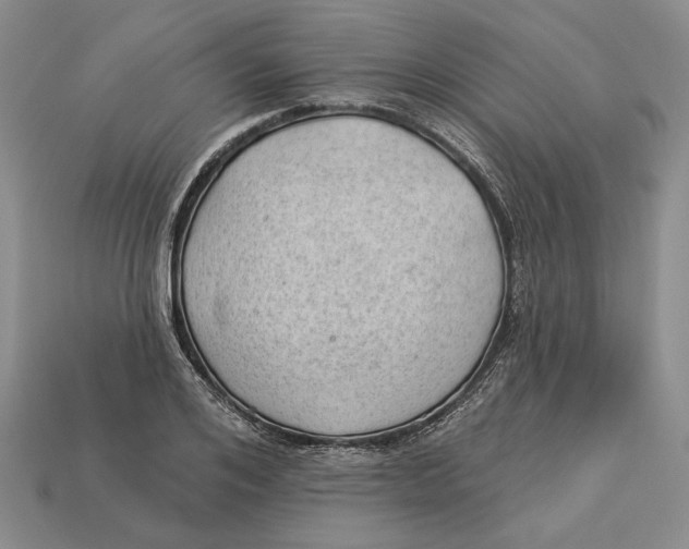 X0000112980984200909171335