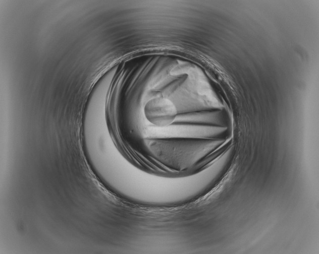 X0000112980985200909171335