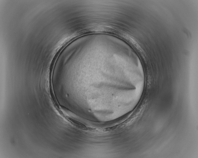 X0000112980986200909171335