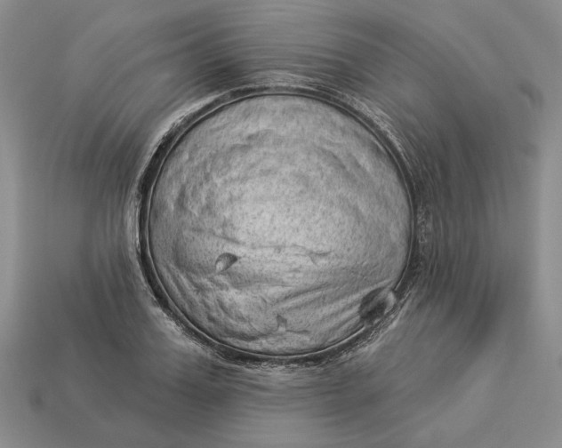 X0000112980987200909171335