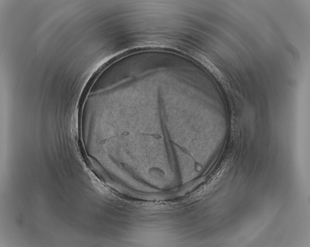 X0000112980988200909171335