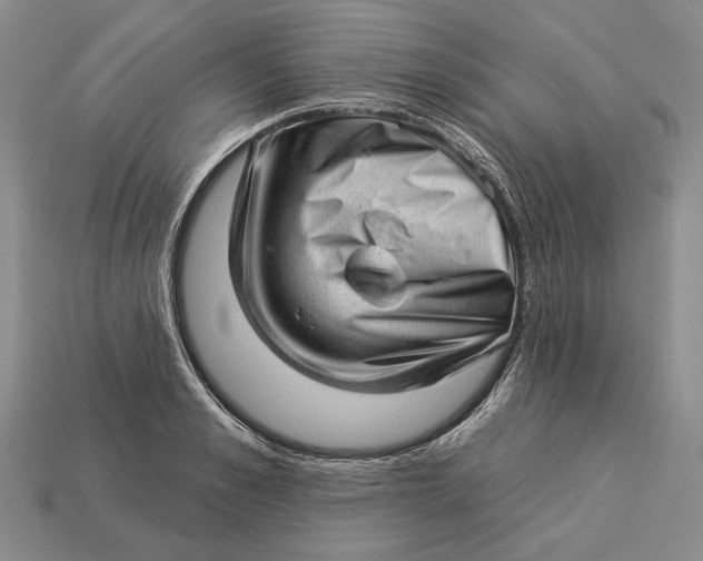 X0000112980989200909171335