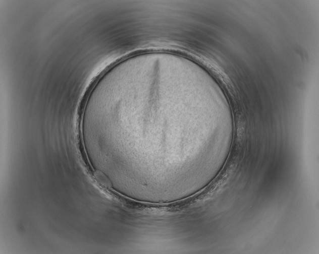 X0000112980990200909171335