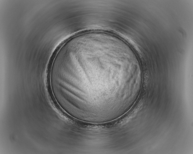 X0000112980991200909171335