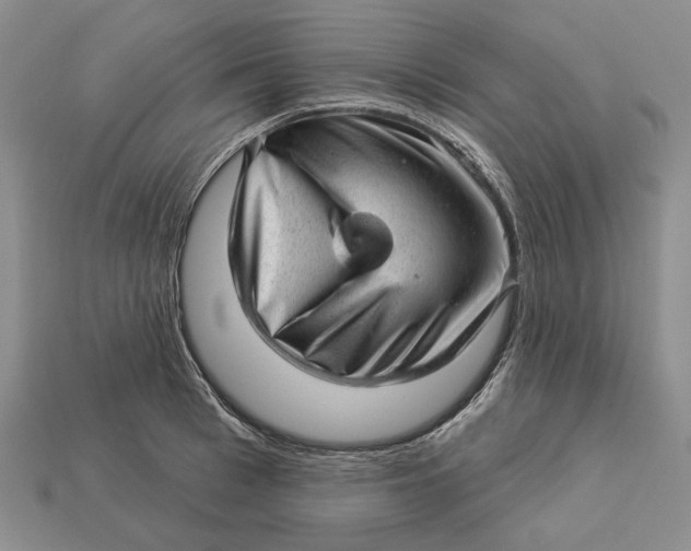 X0000112980993200909171335