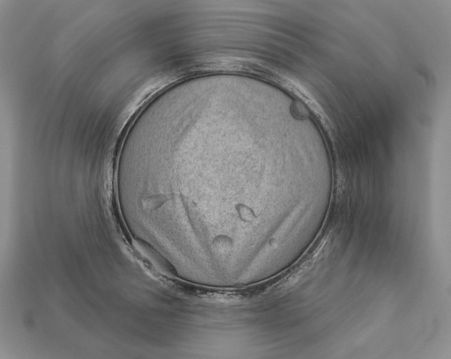 X0000112980994200909171335