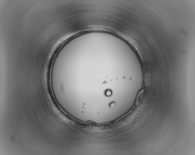 X0000112980995200909171335