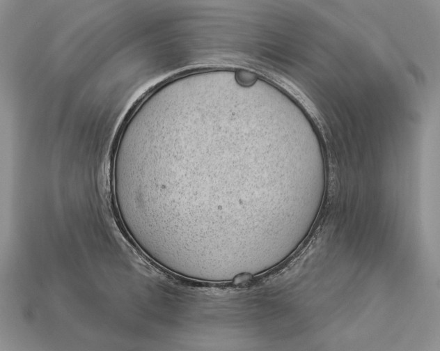 X0000112980996200909171335