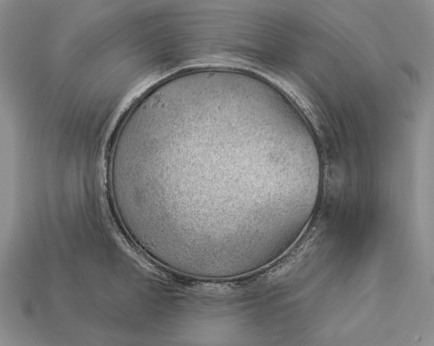 X0000112980998200909171335