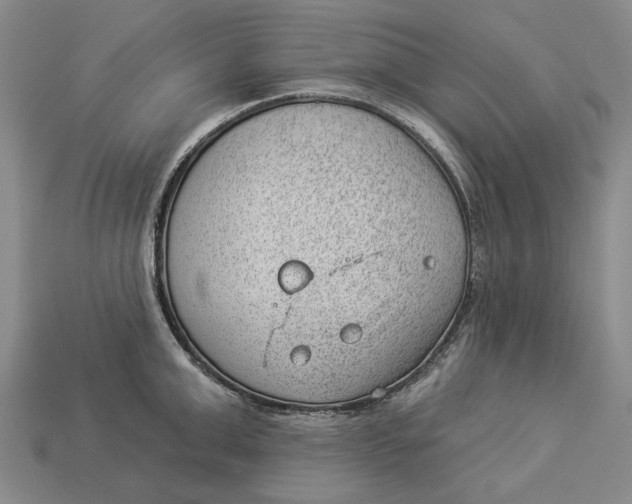 X0000112980999200909171335