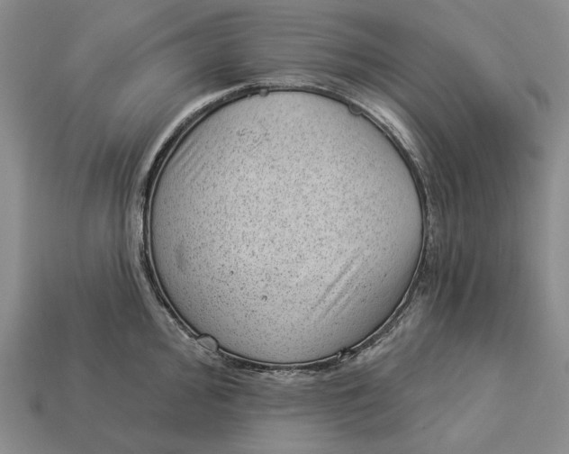 X0000112981000200909171335