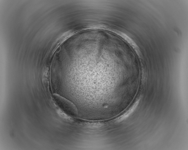 X0000112981001200909171335