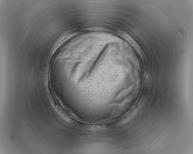 X0000112981002200909171335