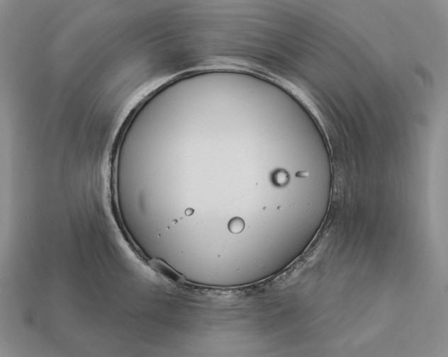 X0000112981003200909171335