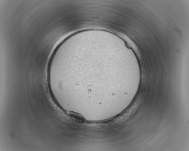 X0000112981004200909171335