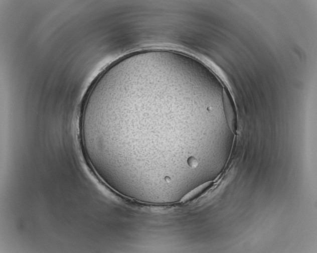 X0000112981005200909171334