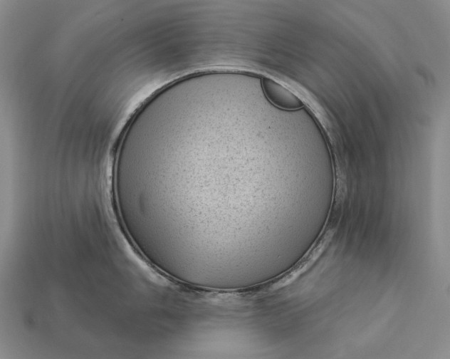 X0000112981006200909171334