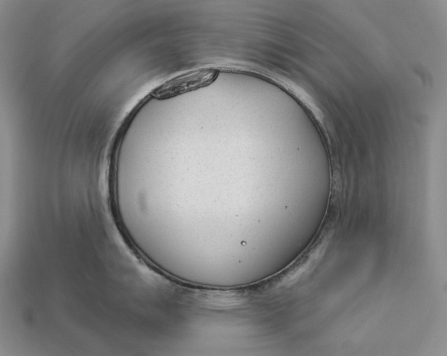 X0000112981007200909171334