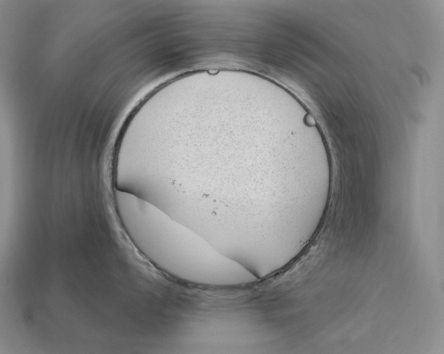 X0000112981008200909171334