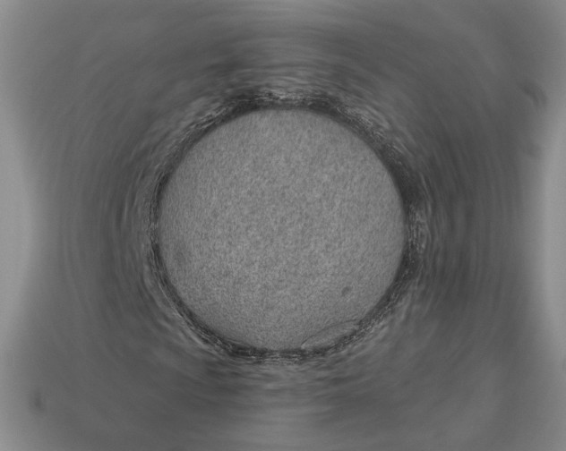 X0000112981009200909171334