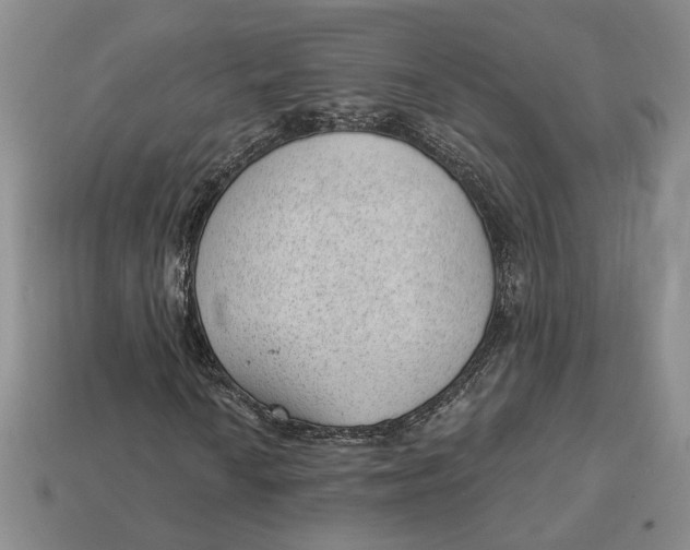 X0000112981010200909171334