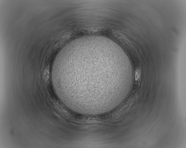 X0000112981011200909171334