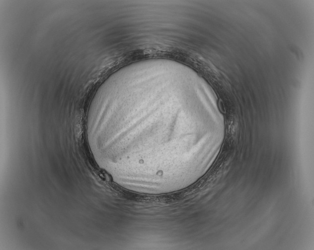 X0000112981012200909171334