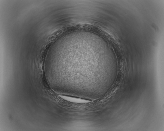 X0000112981013200909171334