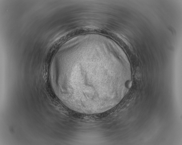 X0000112981015200909171334