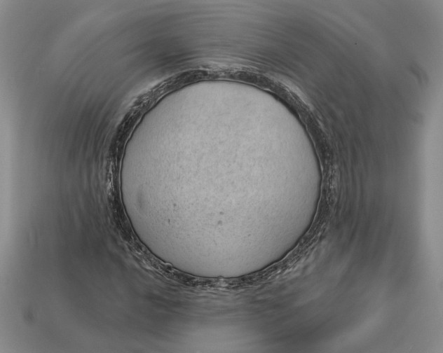 X0000112981016200909171334