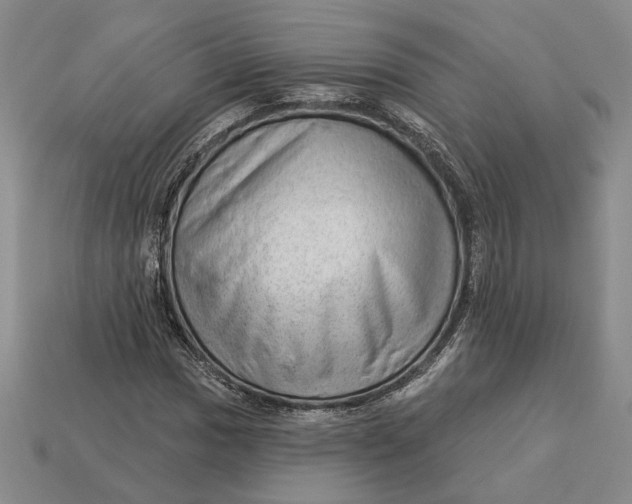 X0000112981017200909171334