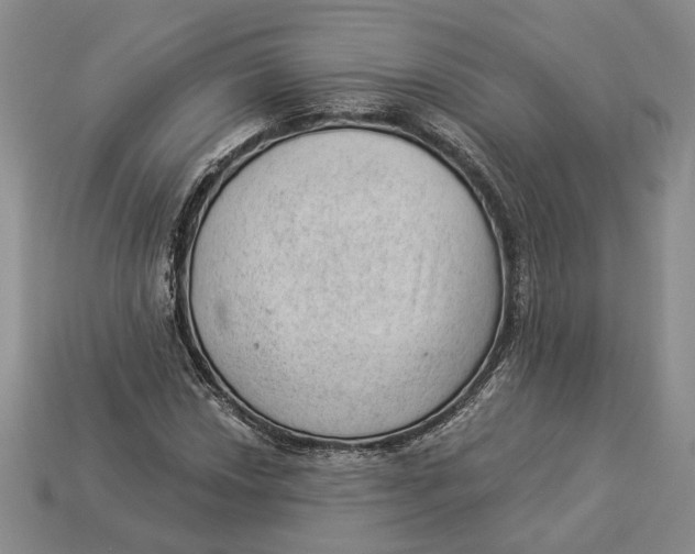 X0000112981018200909171334