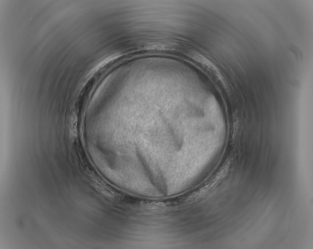 X0000112981019200909171334